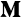 medium